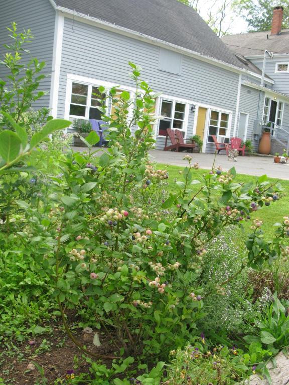 Dragonfly Inn Annapolis Royal Exterior foto